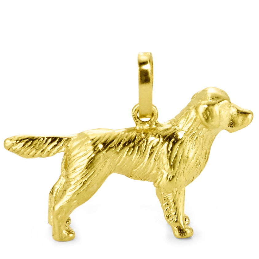 Hanger 750/18 krt geel goud Golden retriever