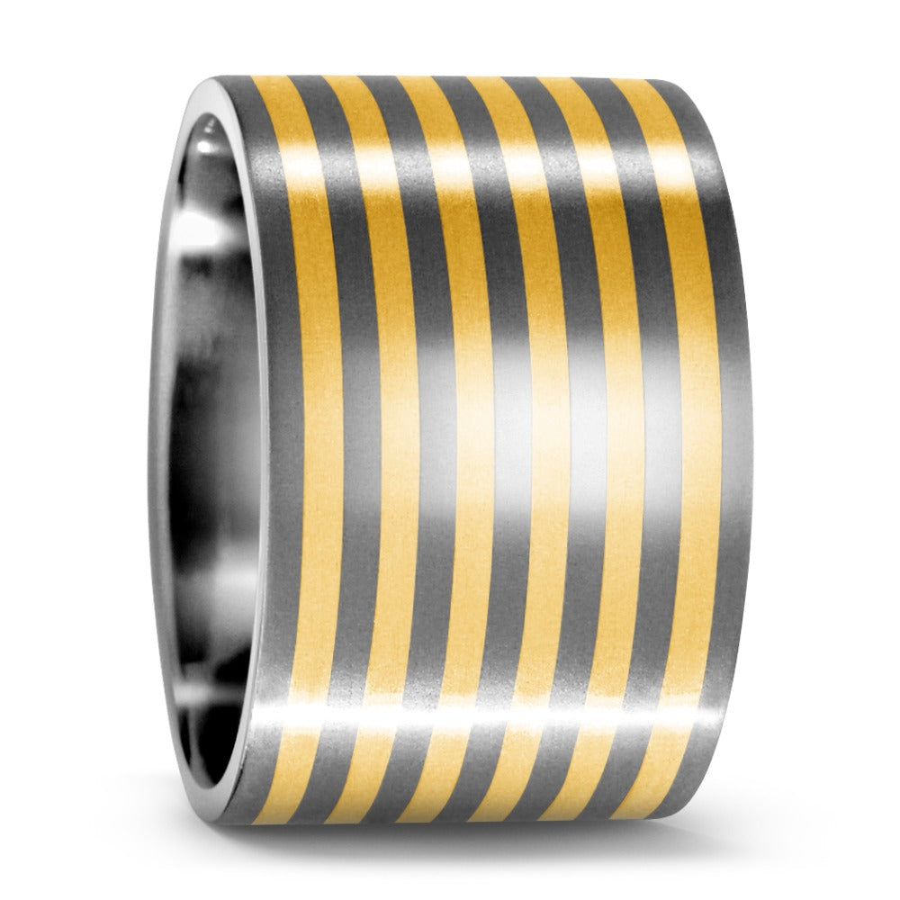 Ring Titanium, 750/18K geel goud