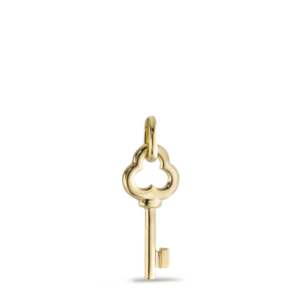 Hanger 375/9 krt geel goud Sleutel