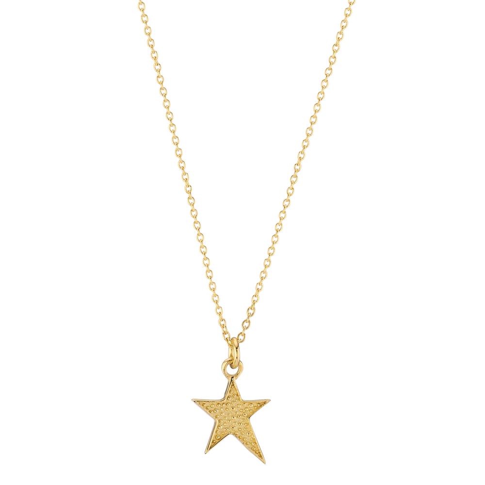 Collier 585/14K geel goud Ster 39-42 cm